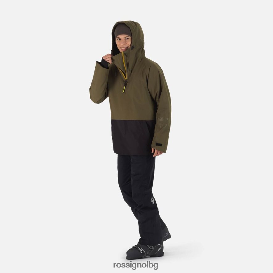 ацинус лист