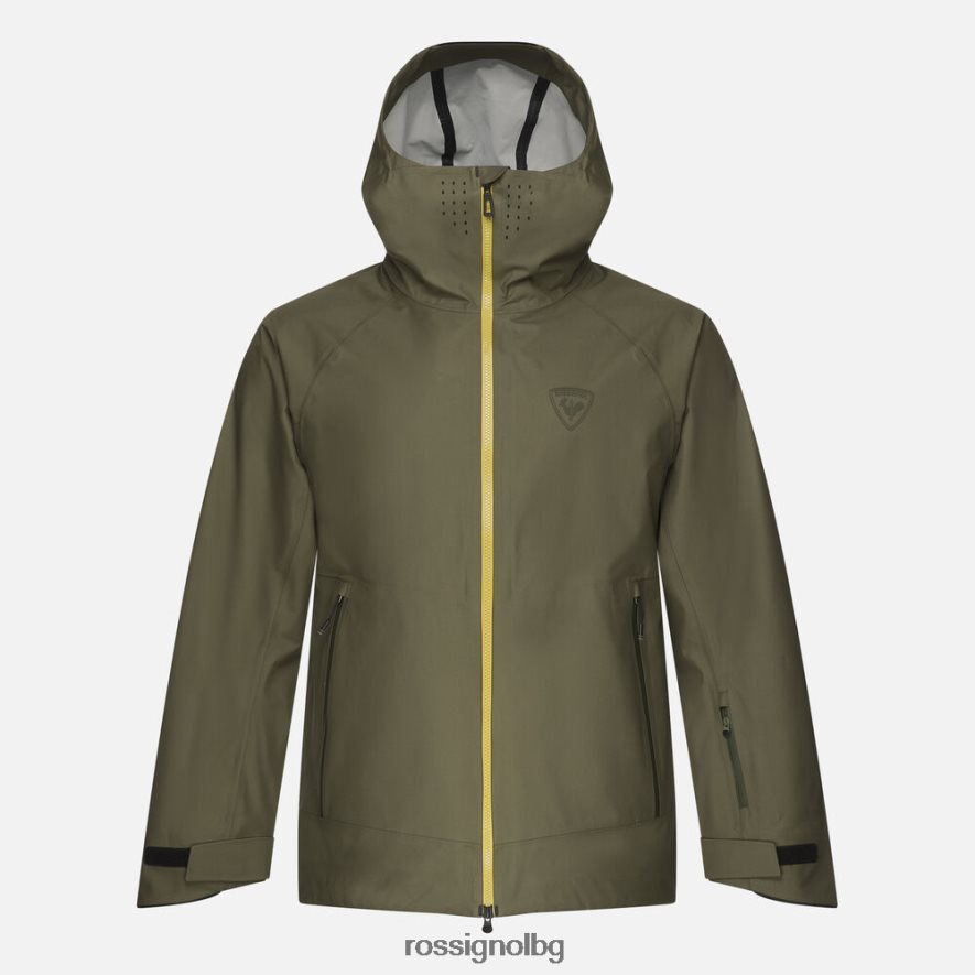 ацинус лист