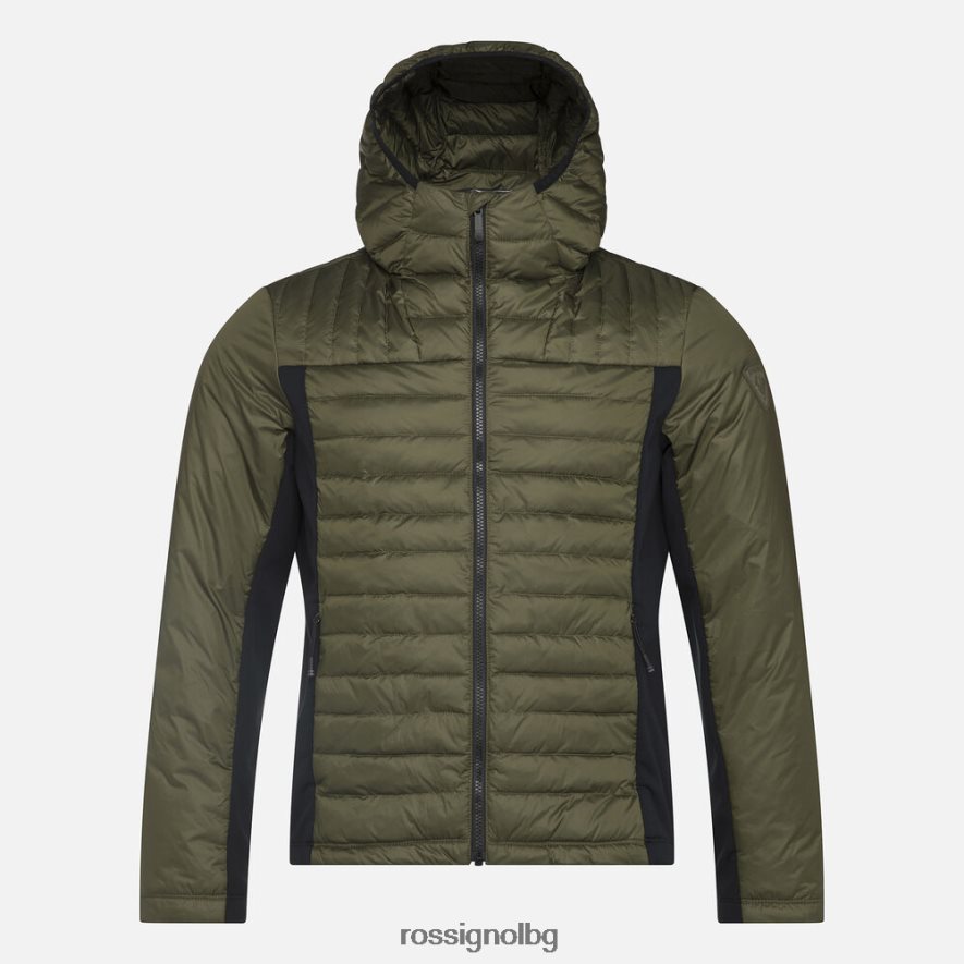 ацинус лист